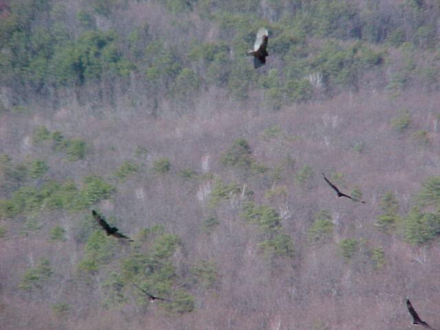 Hanging Rock, NC '02