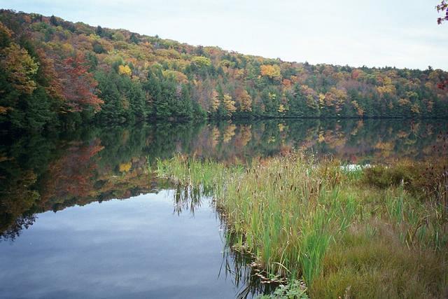 Fall in Pennsylvania, Oct 14-15, 2000