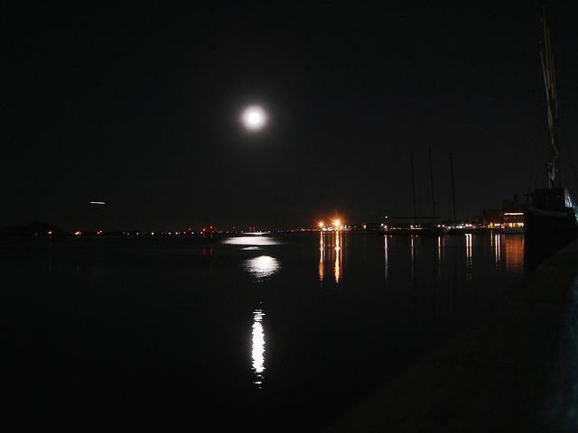 At Harbourfront Centre, Toronto, Aug 26, 2007