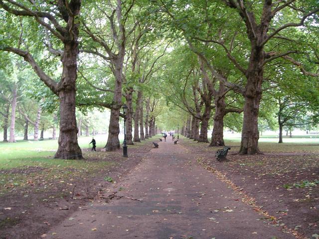 Green Park in London on Sep 6, 2011